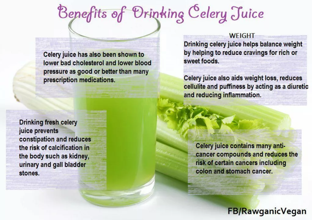Supercharge Your Health with Celery: The All-Natural Dietary Supplement You Can't Ignore